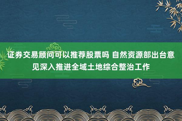 证券交易顾问可以推荐股票吗 自然资源部出台意见深入推进全域土地综合整治工作