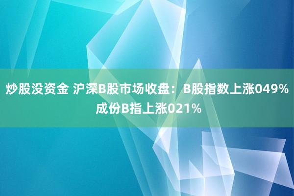 炒股没资金 沪深B股市场收盘：B股指数上涨049% 成份B指上涨021%