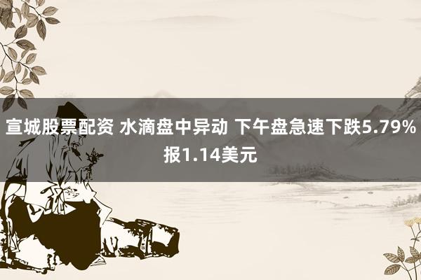 宣城股票配资 水滴盘中异动 下午盘急速下跌5.79%报1.14美元