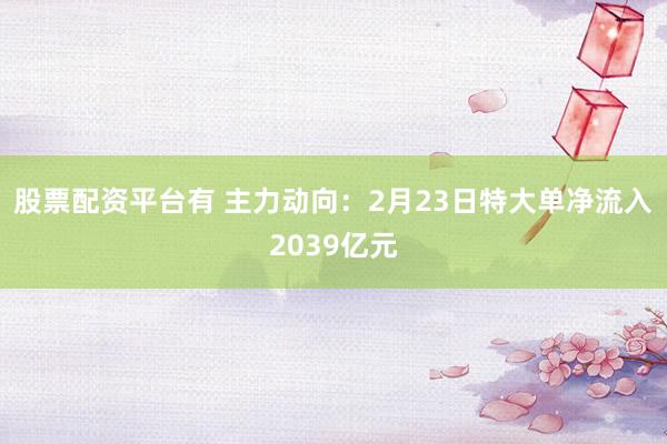 股票配资平台有 主力动向：2月23日特大单净流入2039亿元