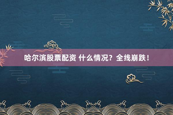 哈尔滨股票配资 什么情况？全线崩跌！